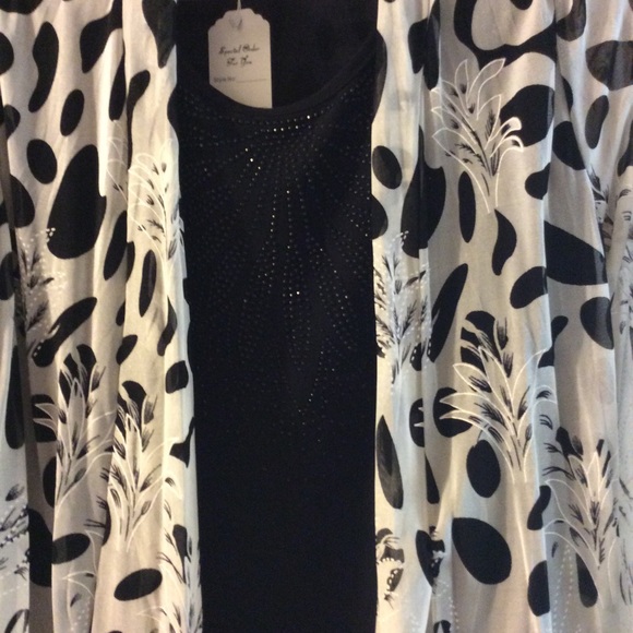 Sheer jacket with attached Shell - Picture 2 of 5